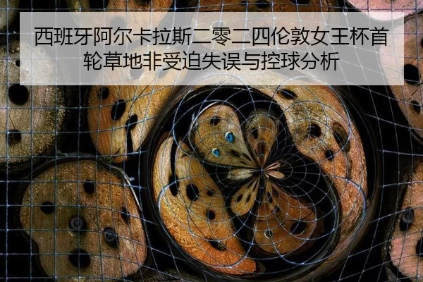西班牙阿尔卡拉斯二零二四伦敦女王杯首轮草地非受迫失误与控球分析